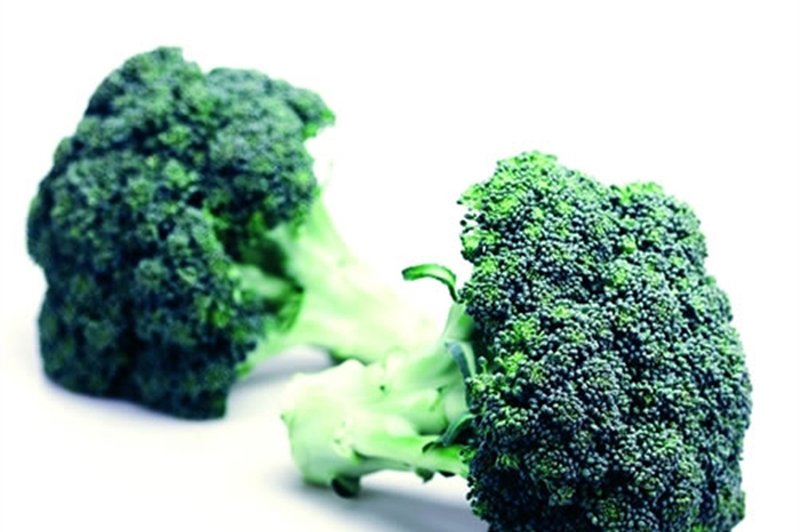Brokoli vir vitaminov.  (foto: Shutterstock.com)