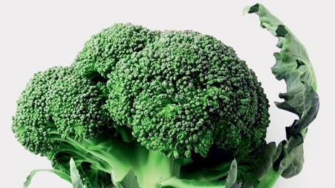 Brokoli: Najhrana prot raku in še kaj