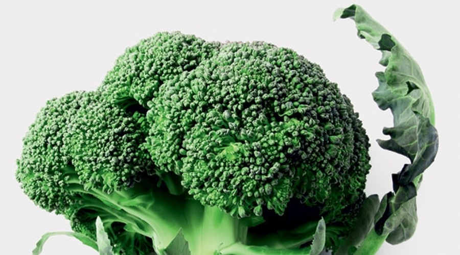 Brokoli (foto: Shutterstock.com)