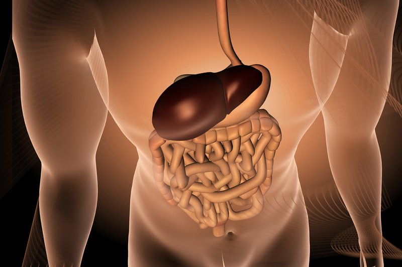 Spoštljivo z jetri! (foto: Shutterstock.com)