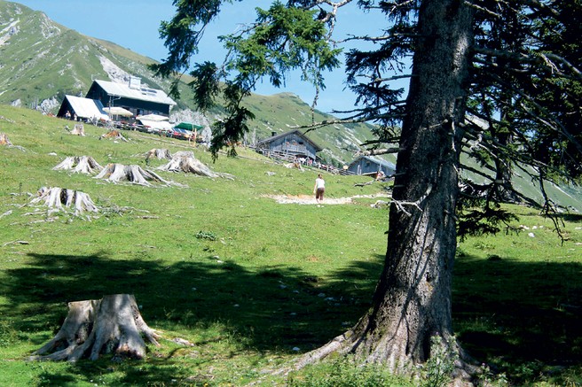 Ideje za izlet v planine