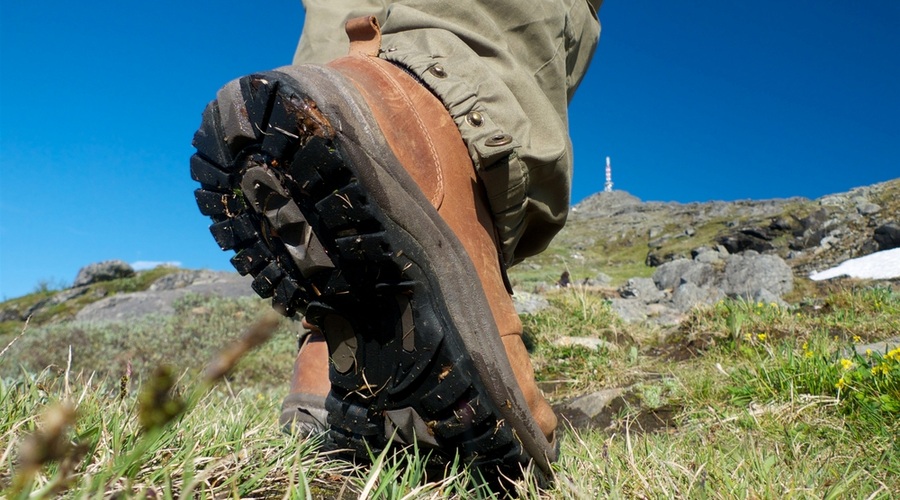 Pohod: Brestovica pri Komnu (foto: Shutterstock.com)