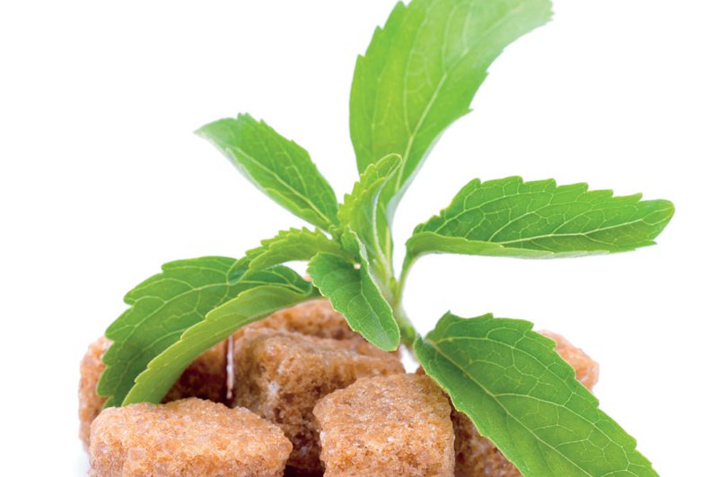 Stevia – sladkost iz narave, brez kalorij (foto: Shutterstock.com)