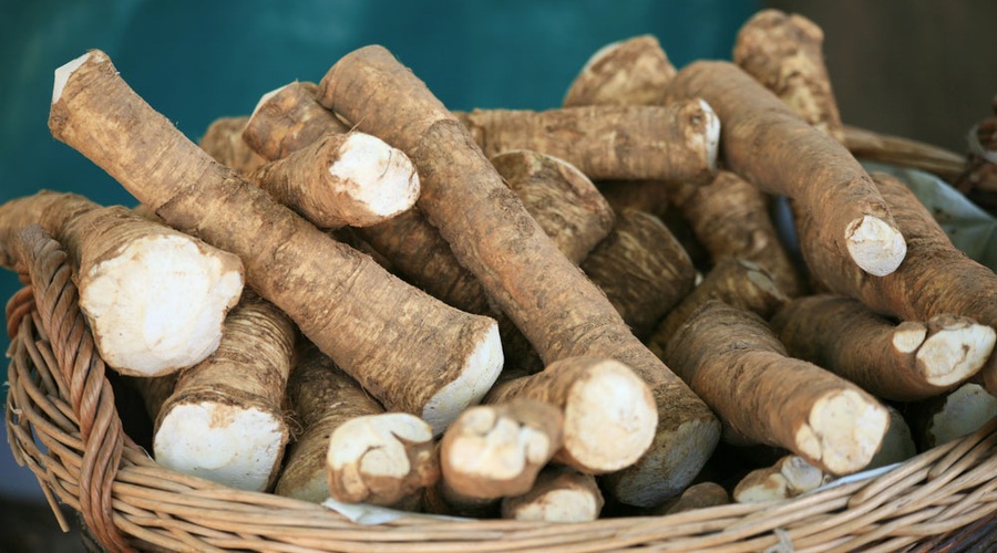 Hren, pikanten in zdravilen (foto: Shutterstock.com)