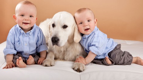 Sobivanje dojenčka in psa