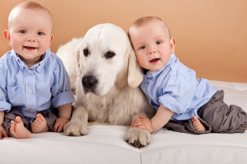 Sobivanje dojenčka in psa (foto: Shutterstock.com)