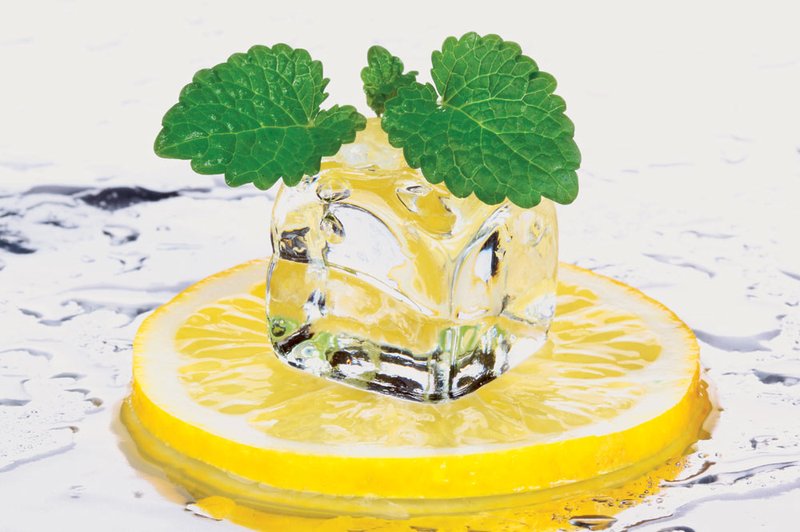 Dieta z limono - zmanjšuje absorbcijo maščob (foto: Shutterstock.com)