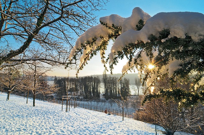 Zimska pravljica na očarljivem otoku Mainau
