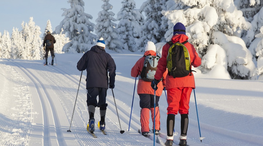 Tek na smučeh - vadba, ki telo krepi in oblikuje (foto: Shutterstock.com)