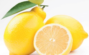 Kako vzgojimo limono in zakaj so tako zdrave