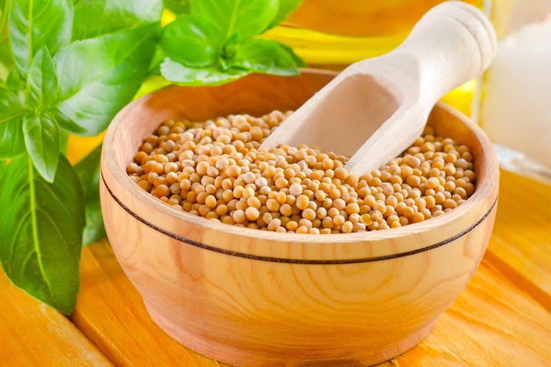 Gorčično seme - majhno seme z velikimi učinki (foto: Shutterstock.com)