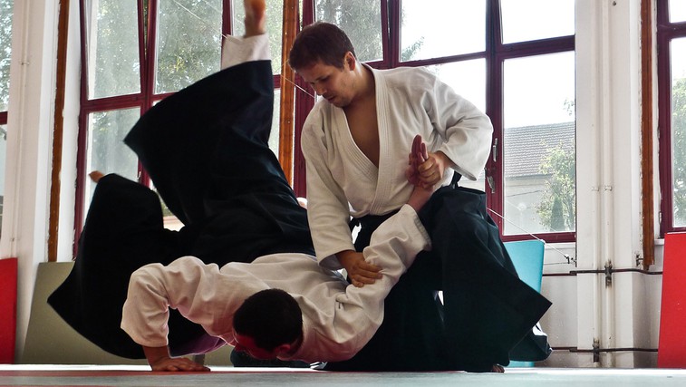 Beseda aikido torej pomeni pot harmonije z naravo. (foto: Osebni arhiv)