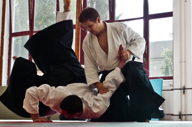 Beseda aikido torej pomeni pot harmonije z naravo. (foto: Osebni arhiv)
