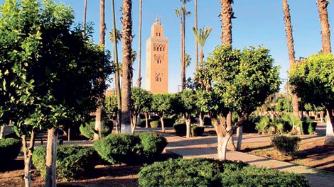 Pozimi prija pisani Maroko