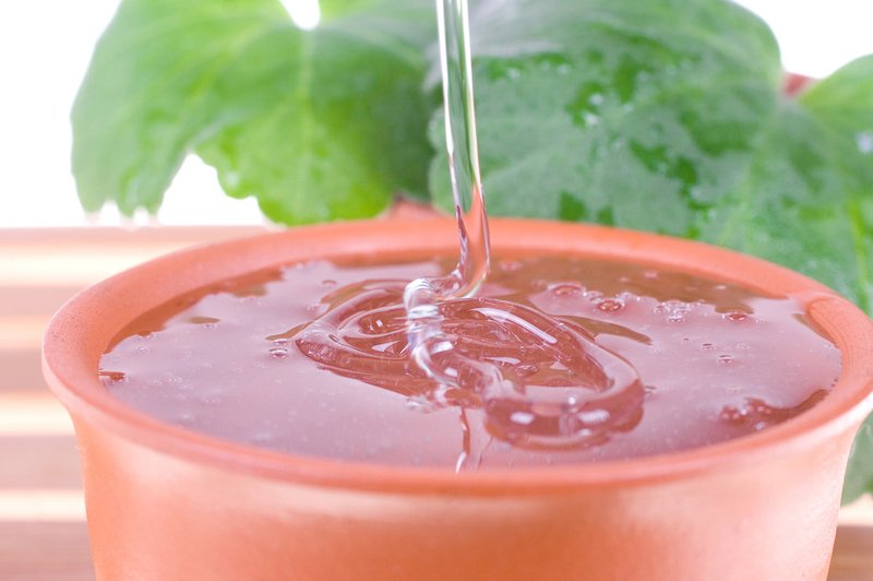 Olje čajevca - naravna pomoč pri okužbah (foto: Shutterstock.com)