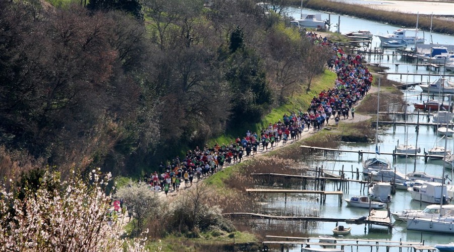 Povežimo soline (foto: http://www.skid.si/)