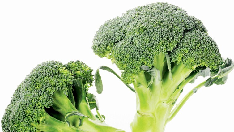 Brokoli – drobljivo zelje (foto: Shutterstock)