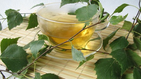 Brezov čaj - čisti in pomaga pri odpravljanju celulita