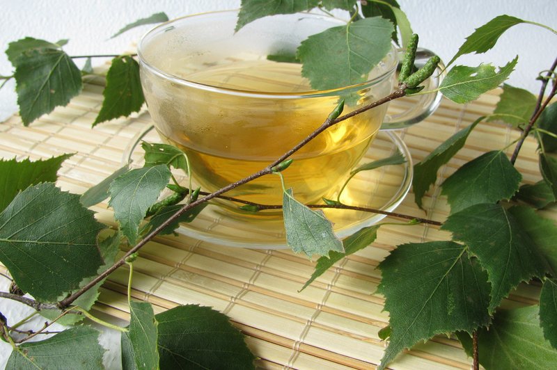 Brezov čaj - čisti in pomaga pri odpravljanju celulita (foto: Shutterstock.com)