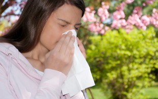 Kako alergijo omiliti brez uporabe zdravil?