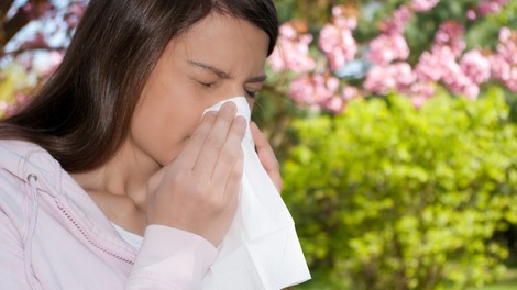 Kako alergijo omiliti brez uporabe zdravil?