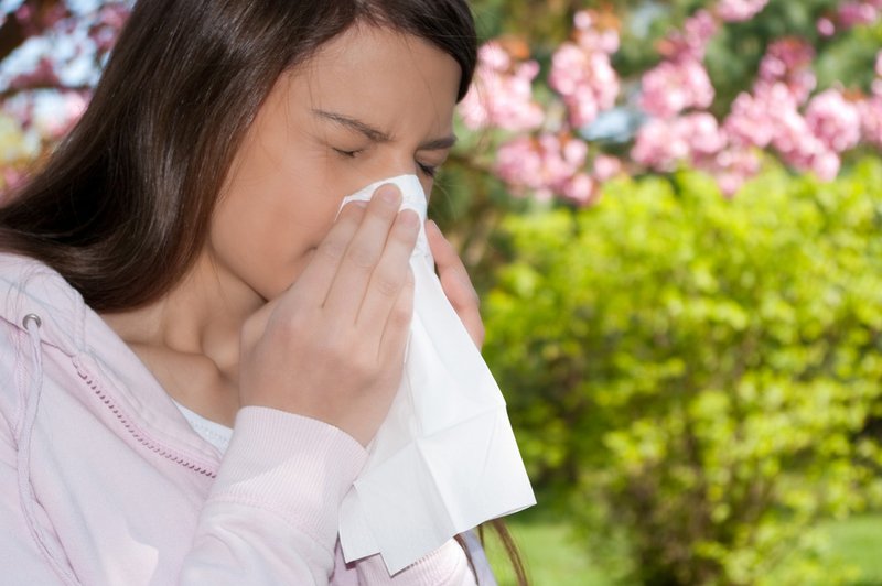 Kako alergijo omiliti brez uporabe zdravil? (foto: Shutterstock.com)