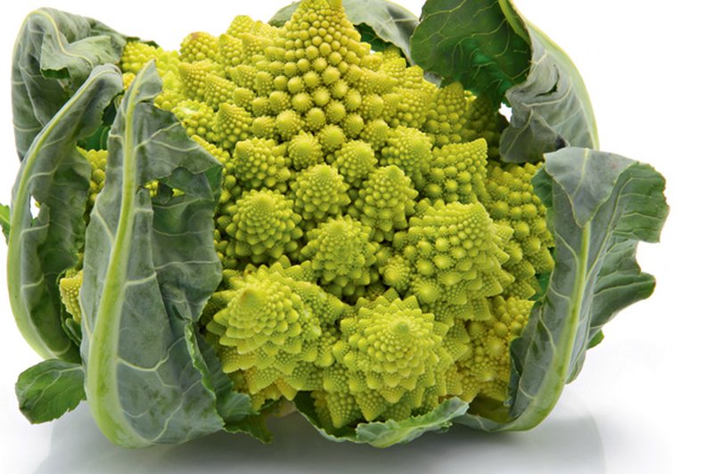 Romanesco brokoli - zdrava dietna hrana (foto: Shutterstock.com)