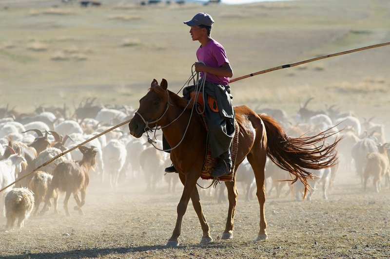 Mongolija (foto: Profimedia)