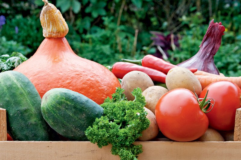 Pesticidi v sadju in zelenjavi (foto: Shutterstock.com)