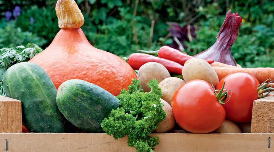 Pesticidi v sadju in zelenjavi (foto: Shutterstock.com)