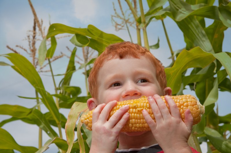 Gensko spremenjena hrana: 9 dejstev, ki jih morate vedeti (foto: Arhiv revije)