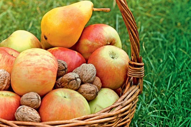 3 vitaminske bombe za jesenske dni