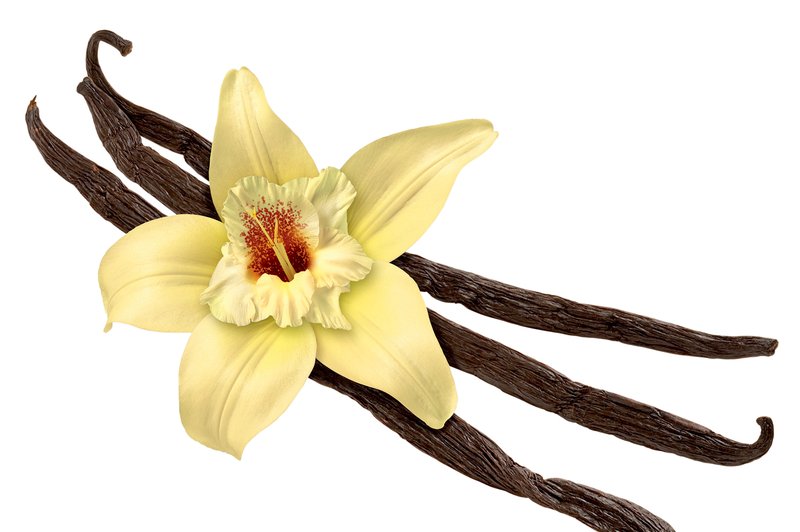 Lisina začimba tedna: Vanilja (foto: Shutterstock)
