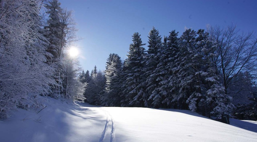 Pričetek smučarske sezone na Mariborskem Pohorju (foto: Promocijski material)