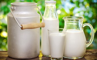 Je surovo mleko res nezdravo?