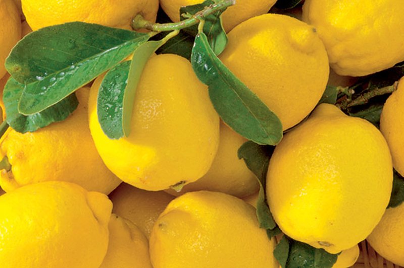 Razstrupljevalna limonada (foto: Shutterstock.com)