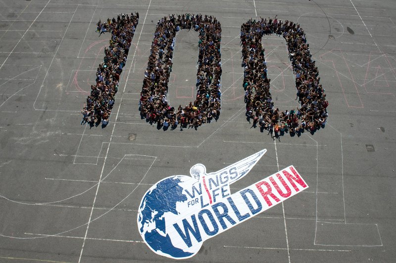 Še 100 dni do dogodka Wings For Life World Run (foto: Wings For Life)