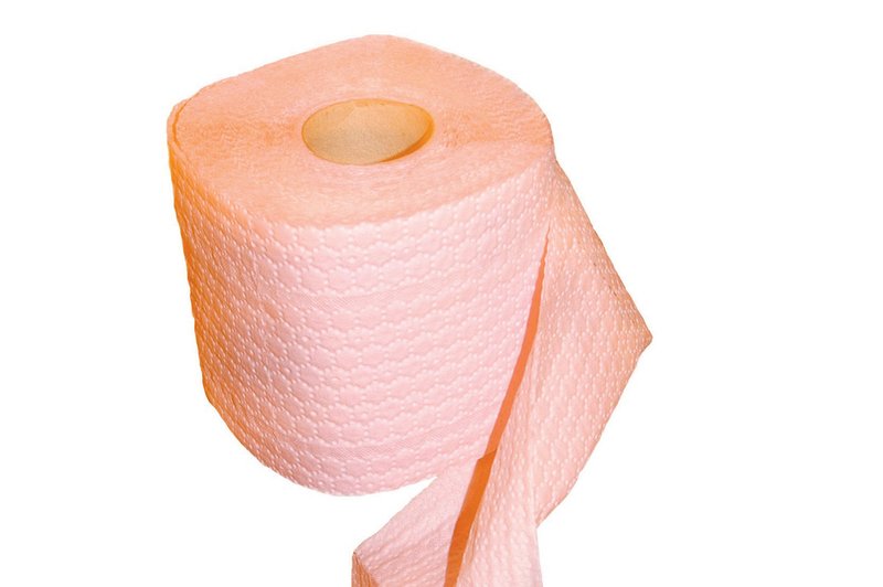 Najboljši je navaden toaletni papir (foto: Shutterstock)