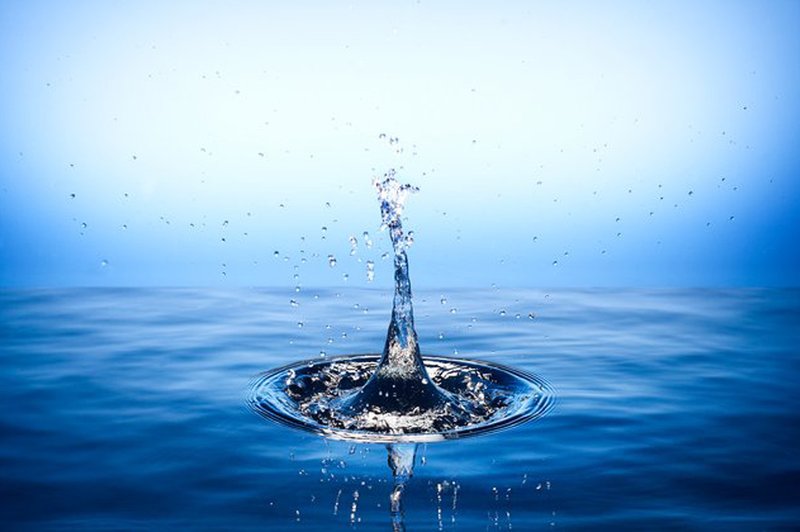 Telesu zagotovite dovolj vode! (foto: Profimedia)