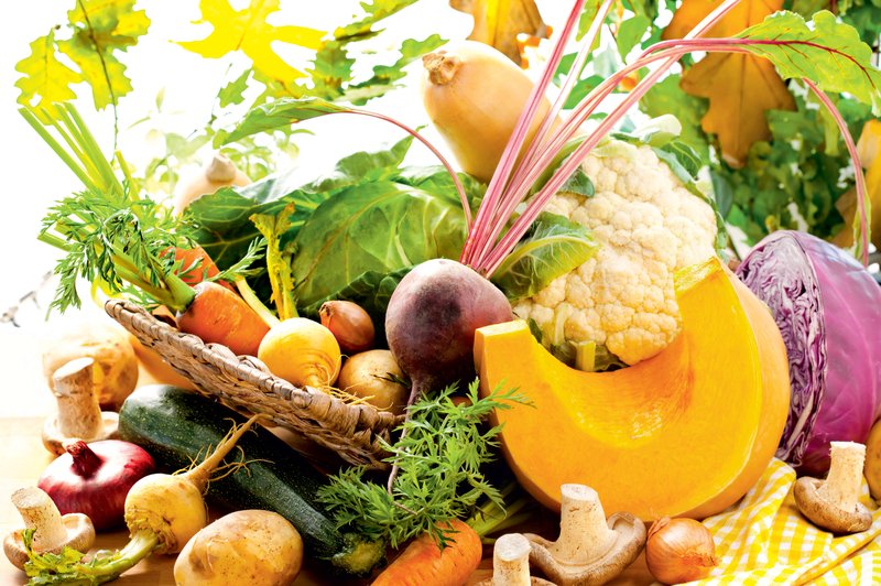 Vitamini in minerali za popolno podporo našemu telesu (foto: Shutterstock.com)