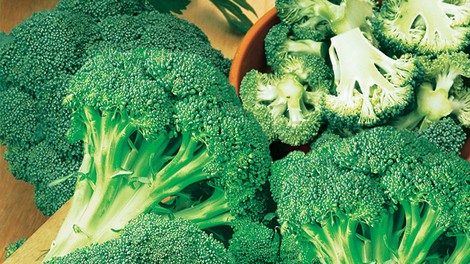 Brokoli – zeleno bogastvo vitaminov in mineralov na naših mizah