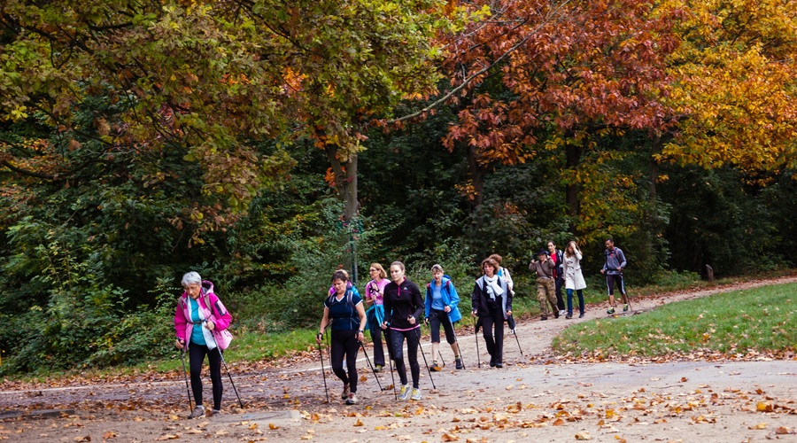 Pohodi ob svetovnem dnevu sladkorne bolezni (foto: Shutterstock.com)