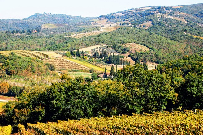 Italija za uživače: Toskanski griči Chianti
