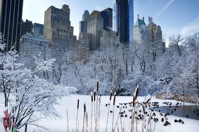 Zasneženi New York je prava urbana pravljica