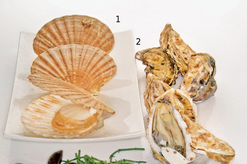Školjke - morski užitki v lupini (foto: stockfood photo)