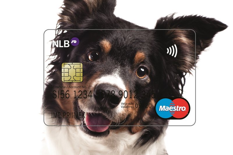 Naroči svojo brezstično kartico z motivom in prispevaj 1 evro! (foto: NLB)