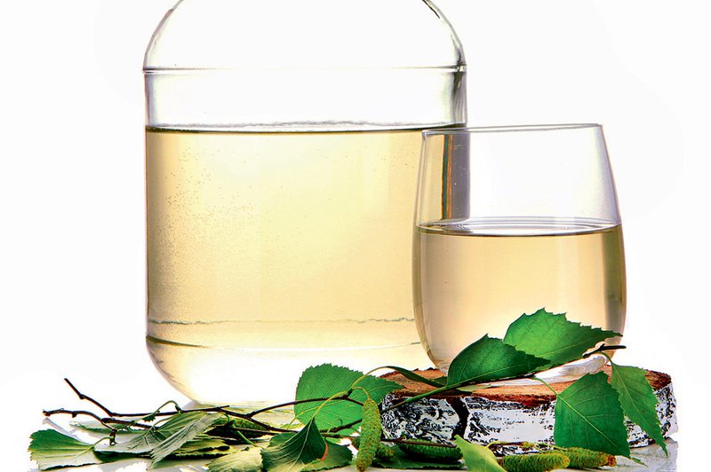 Stisnjen sok iz brezovih listov za pomladno kuro (foto: Shutterstock)