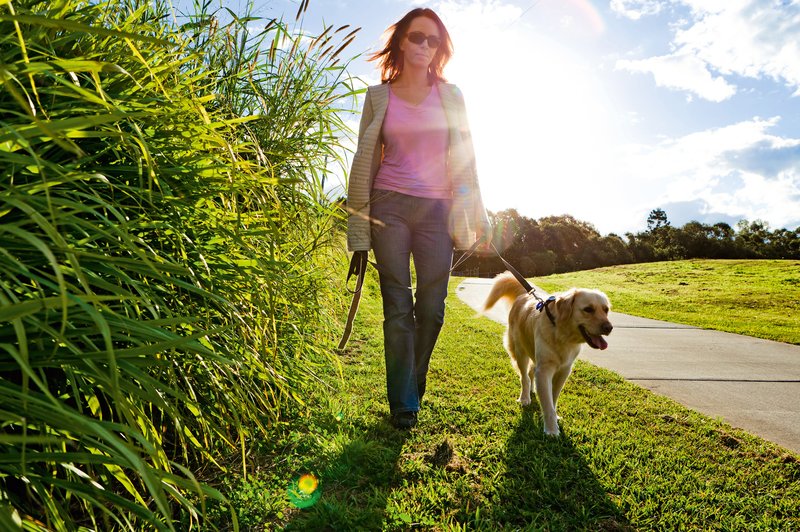 10.000 korakov dnevno - za zdravje in dobro počutje (foto: Shutterstock.com)
