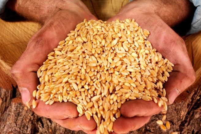 11 znakov, da ste intolerantni na gluten
