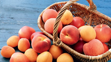 Breskve in marelice - sladki sadeži v oranžni barvi